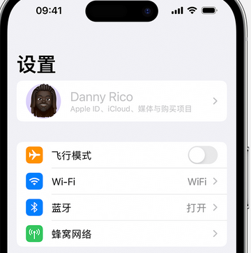 商洛appleID维修服务iPhone设置中Apple ID显示为灰色无法使用 