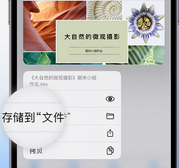 商洛apple维修中心分享iPhone文件应用中存储和找到下载文件