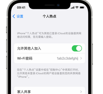 商洛apple服务站点分享iPhone上个人热点丢失了怎么办 