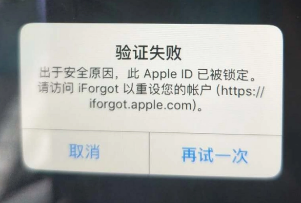 商洛iPhone维修分享iPhone上正常登录或使用AppleID怎么办 