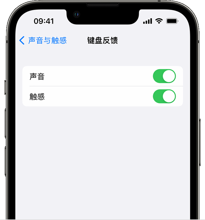 商洛苹果14维修店分享如何在 iPhone 14 机型中使用触感键盘 