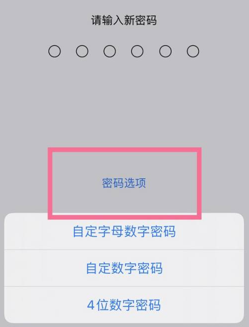 商洛苹果14维修分享iPhone 14plus设置密码的方法 