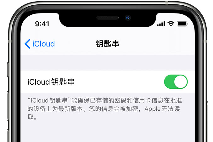 商洛苹果手机维修分享在 iPhone 上开启 iCloud 钥匙串之后会储存哪些信息 