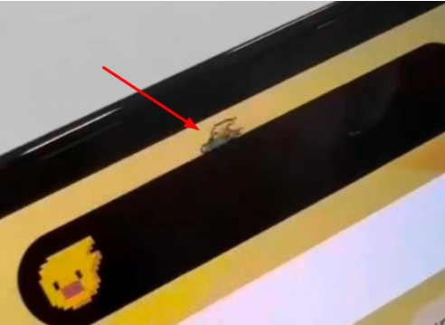 商洛苹果14维修分享iPhone 14 Pro Max灵动岛怎么养宠物 