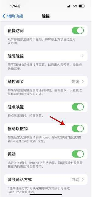 商洛苹果手机维修分享iPhone手机如何设置摇一摇删除文字 