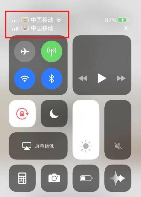 商洛苹果手机维修分享为 iPhone 12 双卡设置标签 